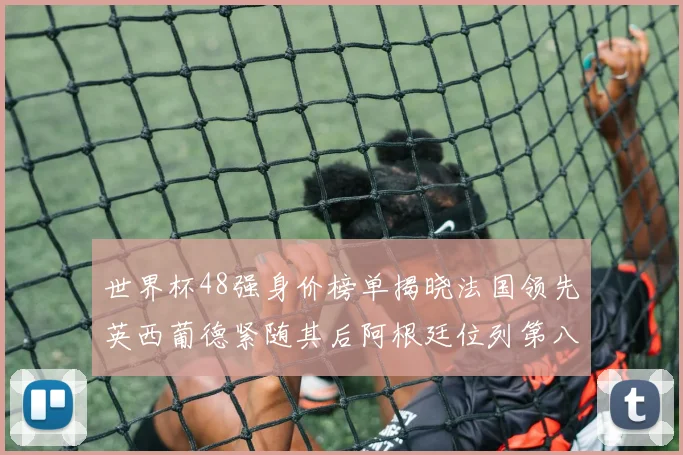 世界杯48强身价榜单揭晓法国领先英西葡德紧随其后阿根廷位列第八